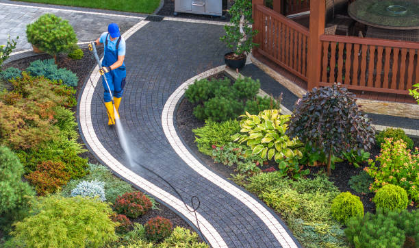 Best Pressure Washing Near Me  in Mount Wolf, PA