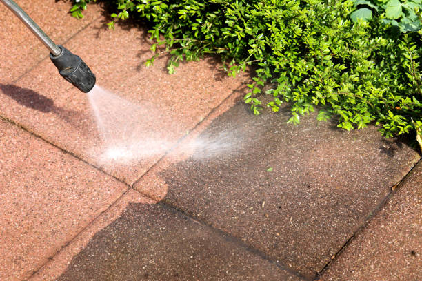 Best Best Pressure Washing Companies  in Mount Wolf, PA